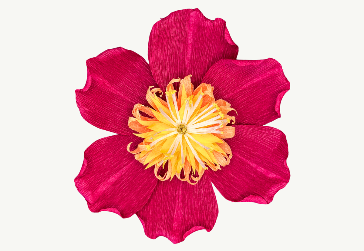 Julerose