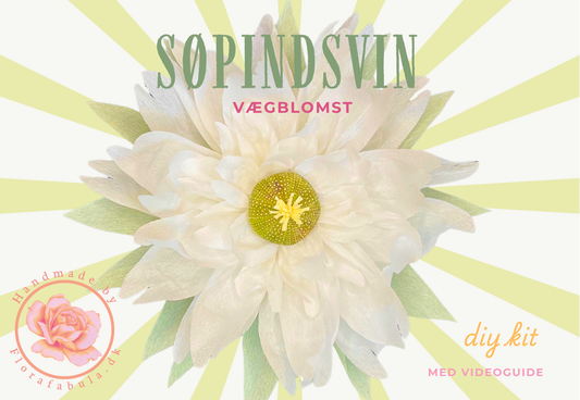 Hvid vægblomst