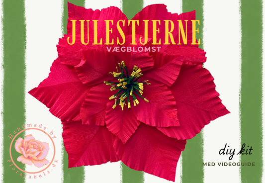 Julestjerne